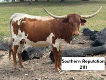 Southern Reputation