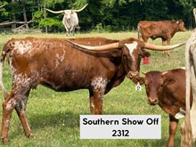 Southern Show Off