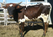 WANNABA RANCH 23A SUB