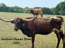 Southern Smokeshow
