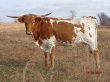 MTR MISSY K 19/20