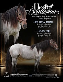 HESA GENTLEMAN