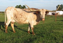 Delta Texas